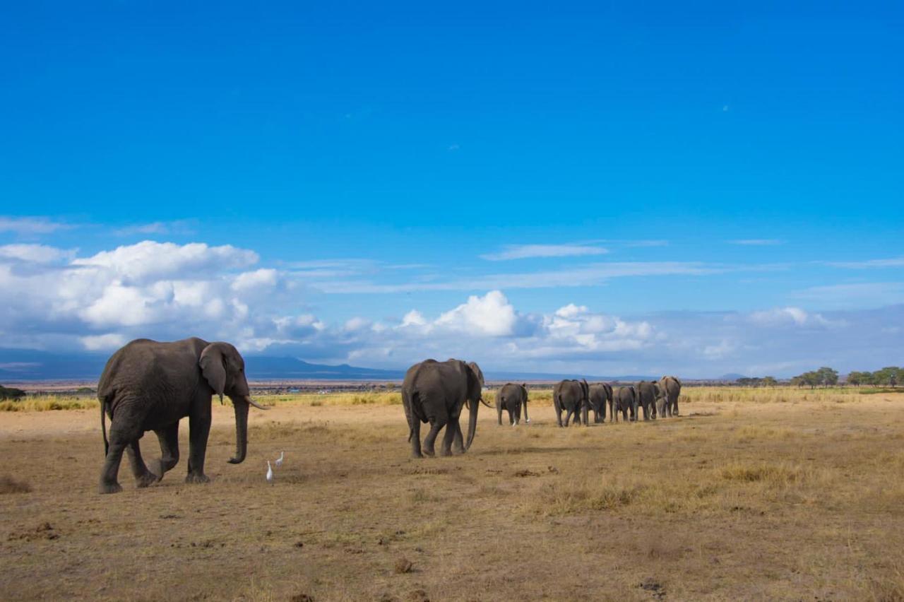 Amboseli Cultural Camping Zewnętrze zdjęcie