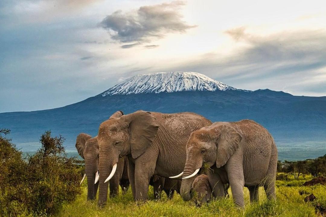 Amboseli Cultural Camping Zewnętrze zdjęcie