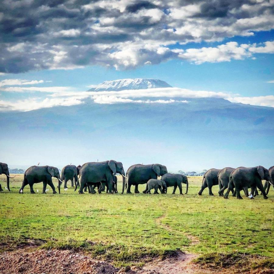 Amboseli Cultural Camping Zewnętrze zdjęcie