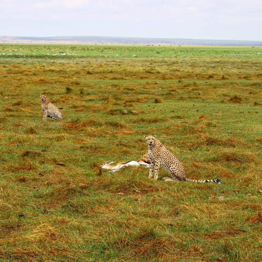Amboseli Cultural Camping Zewnętrze zdjęcie