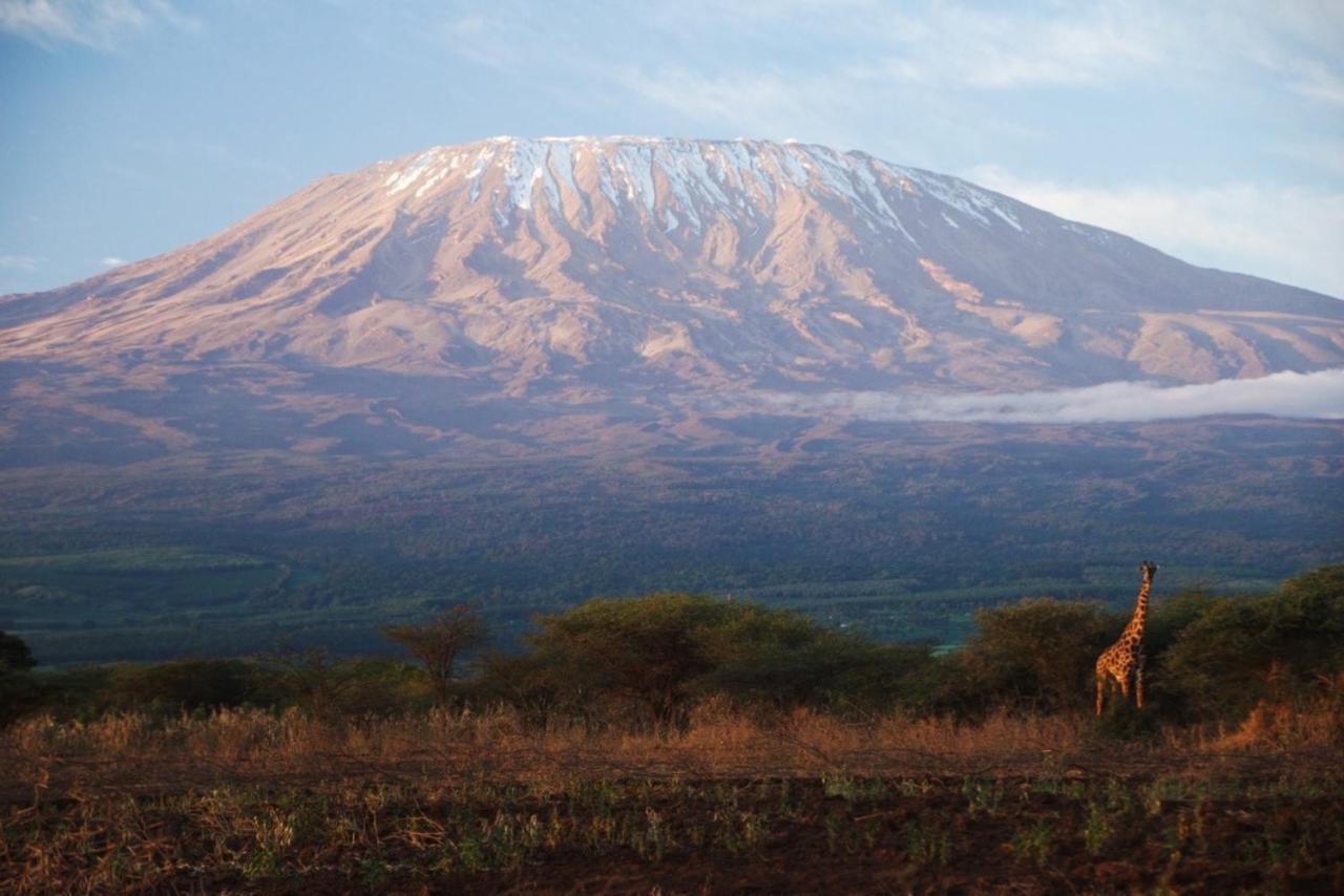 Amboseli Cultural Camping Zewnętrze zdjęcie